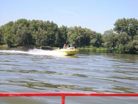 tisza12.jpg
